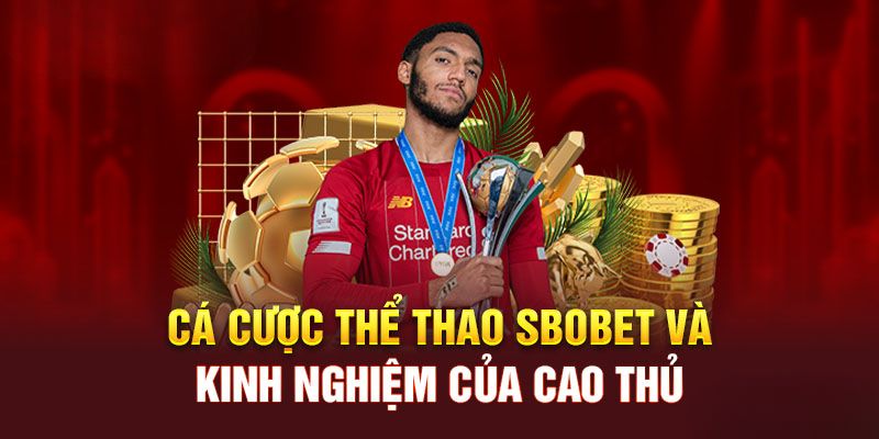 SBO thể thao | Trải nghiệm cá cược phong cách Châu Âu tại nhà